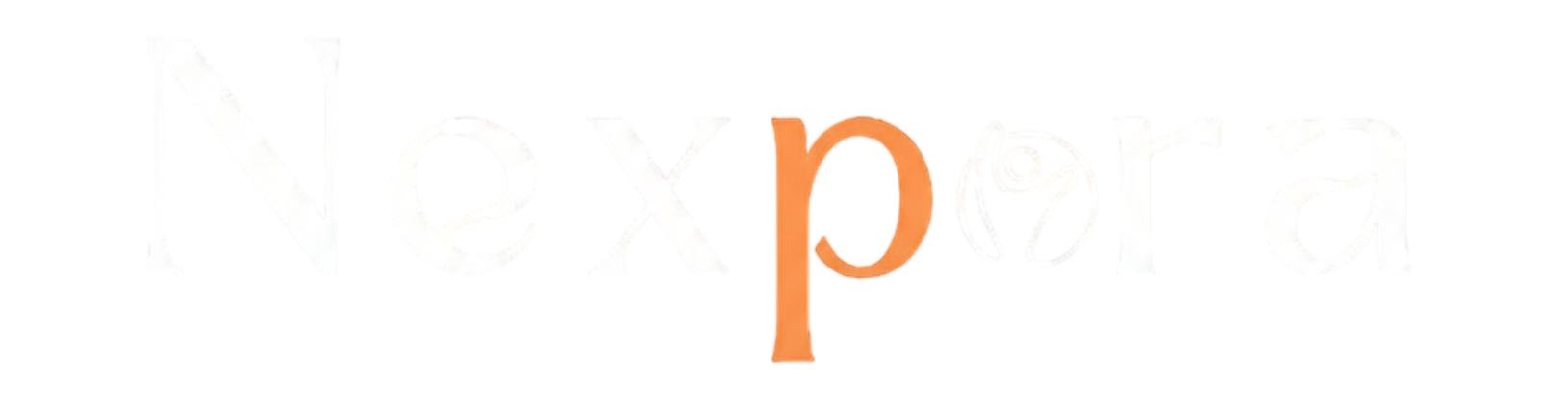 Nexpora | Branding & Digital Solutions